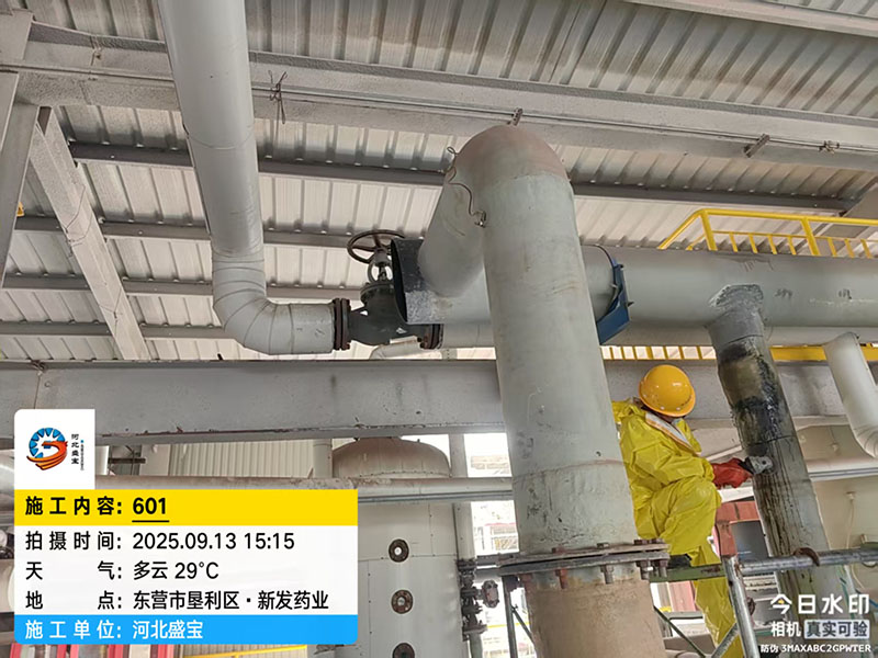 东营市垦利区·新发药业