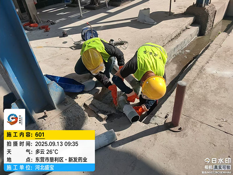 东营市垦利区·新发药业