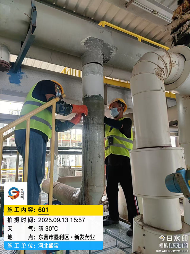 东营市垦利区·新发药业